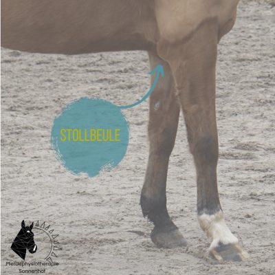 1408B7CD-89B3-4485-8ECD-B1FC51EE54DA