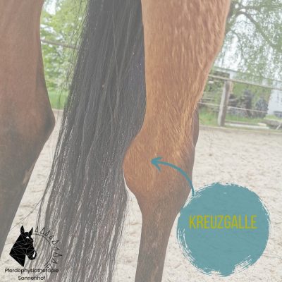 3E205C83-1B91-47CA-91CE-162475178AA5