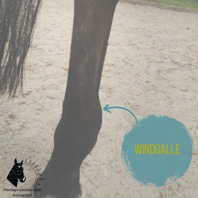 6B6C7FD8-BD5A-4F90-89C2-39B556380B00