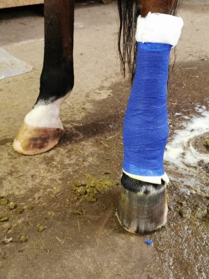 D89504F6-3545-43F3-87B7-7BEE89616D6D