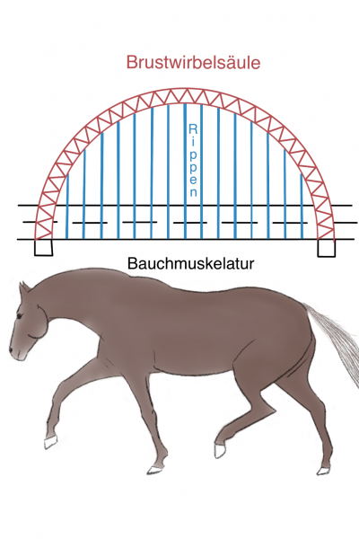 D9C40ADE-A6B1-47DB-8C70-3A217E46E3FB
