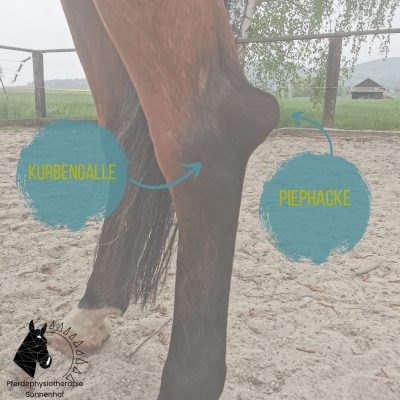 F9DB47BA-F6C4-4E28-90F6-00DDF537C282